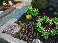 Garten La Verde AG