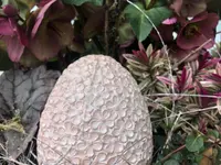Schaufelbühl AG Blumen und Accessoires, Gartengestaltung