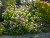 Erni Gartenbau + Planung AG