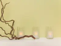 Balance beauty & wellness